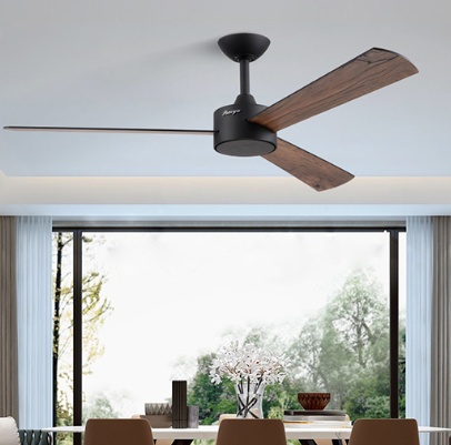 167169333975042.png Ceiling fan.png