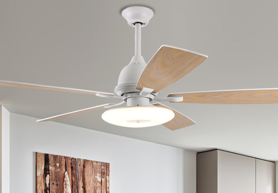 167169450560358.png ceiling fan light.png