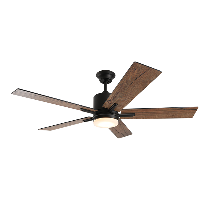 ceiling fan lamp